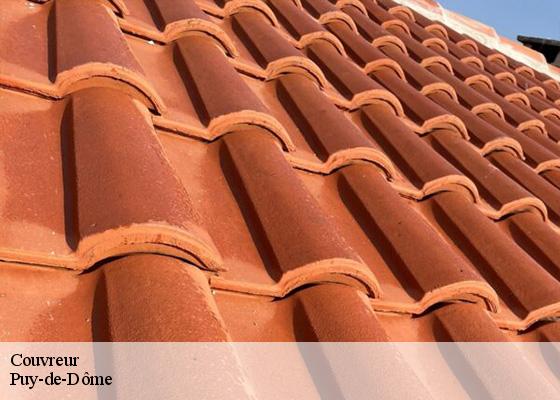 Couvreur 63 Puy-de-Dôme  Dorkeld Couverture