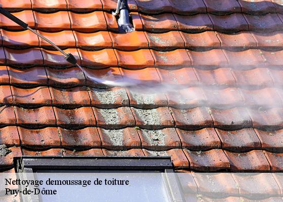 Nettoyage demoussage de toiture 63 Puy-de-Dôme Dorkeld Couverture