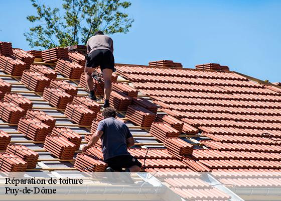 Réparation de toiture 63 Puy-de-Dôme  Dorkeld Couverture