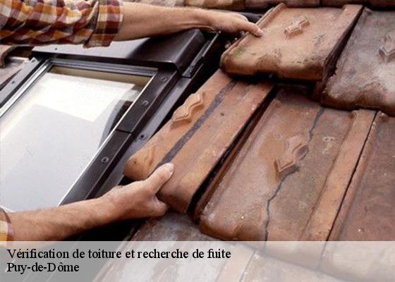 Vérification de toiture et recherche de fuite 63 Puy-de-Dôme  Dorkeld Couverture