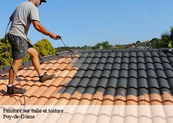 Peinture sur tuile et toiture 63 Puy-de-Dôme Dorkeld Couverture