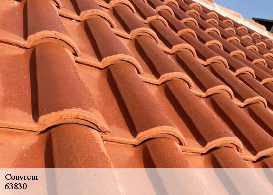 Couvreur  durtol-63830 Dorkeld Couverture