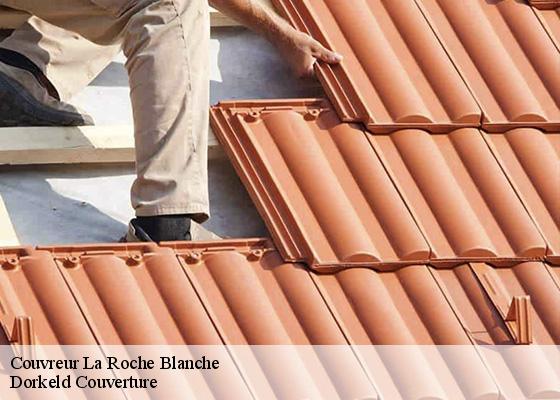 Couvreur la-roche-blanche-63670 Dorkeld Couverture