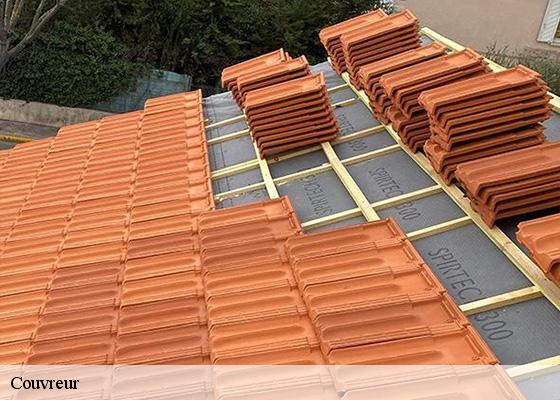 Couvreur  vodable-63500 Dorkeld Couverture