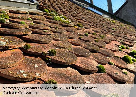 Nettoyage demoussage de toiture  la-chapelle-agnon-63590 Dorkeld Couverture