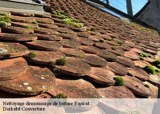 Nettoyage demoussage de toiture  espirat-63160 Dorkeld Couverture