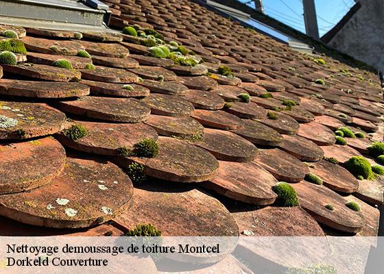 Nettoyage demoussage de toiture  montcel-63460 Dorkeld Couverture