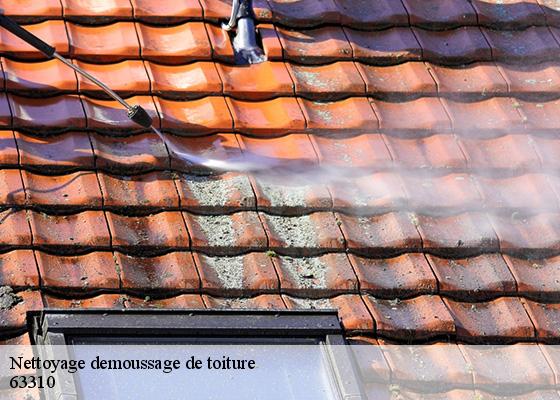 Nettoyage demoussage de toiture  randan-63310 Dorkeld Couverture