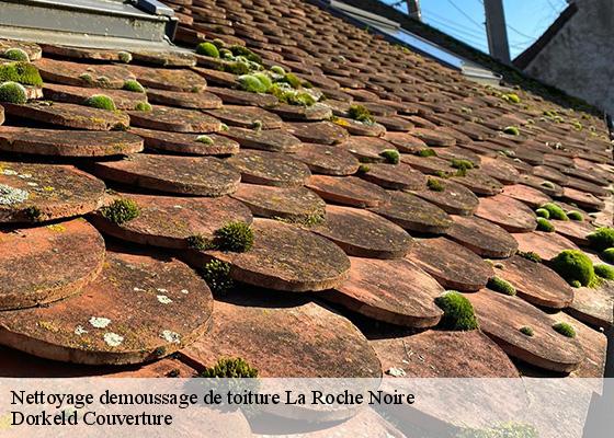 Nettoyage demoussage de toiture  la-roche-noire-63800 Dorkeld Couverture