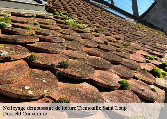 Nettoyage demoussage de toiture  tremouille-saint-loup-63810 Dorkeld Couverture