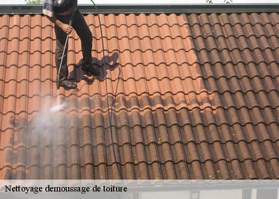 Nettoyage demoussage de toiture  manson-63122 Dorkeld Couverture