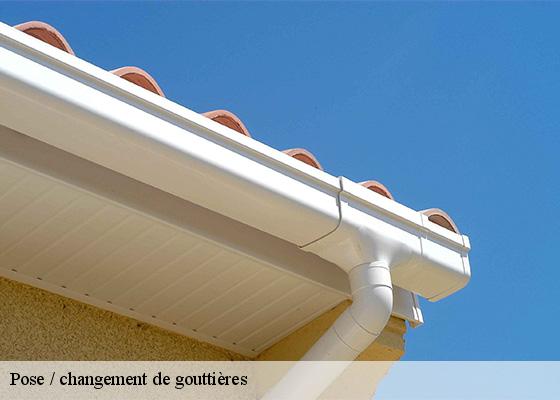 Pose / changement de gouttières  creste-63320 Dorkeld Couverture