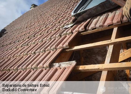Réparation de toiture  esteil-63570 Dorkeld Couverture