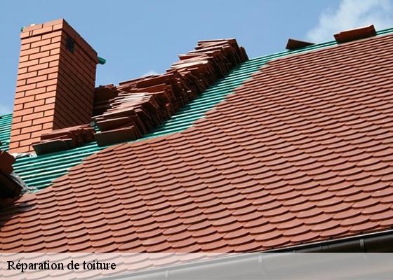 Réparation de toiture  thiers-63300 Dorkeld Couverture