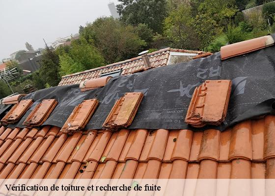 Vérification de toiture et recherche de fuite  compains-63610 Dorkeld Couverture