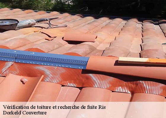 Vérification de toiture et recherche de fuite  ris-63290 Dorkeld Couverture