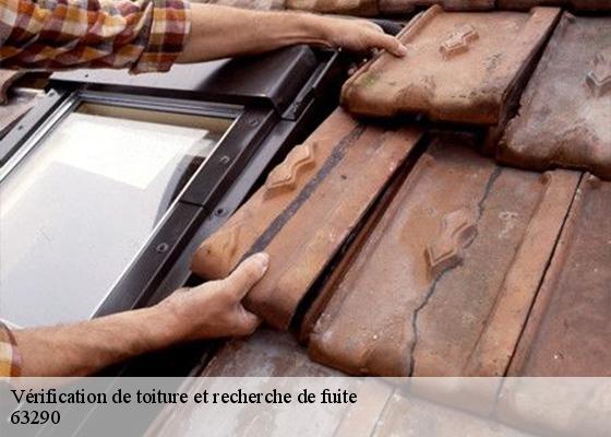 Vérification de toiture et recherche de fuite  ris-63290 Dorkeld Couverture
