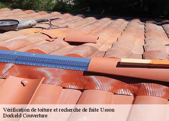 Vérification de toiture et recherche de fuite  usson-63490 Dorkeld Couverture
