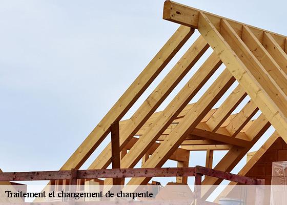 Traitement et changement de charpente  la-crouzille-63700 Dorkeld Couverture