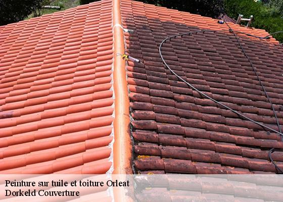 Peinture sur tuile et toiture  orleat-63190 Dorkeld Couverture