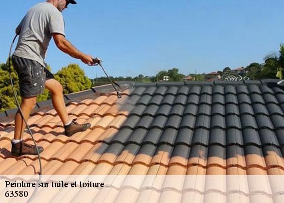 Peinture sur tuile et toiture peslieres-63580 Dorkeld Couverture