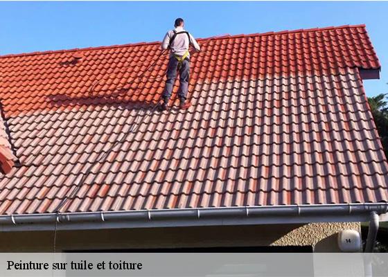 Peinture sur tuile et toiture queuille-63780 Dorkeld Couverture