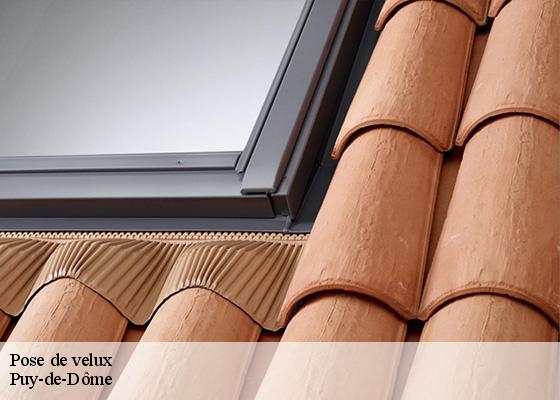 Pose de velux 63 Puy-de-Dôme  Dorkeld Couverture
