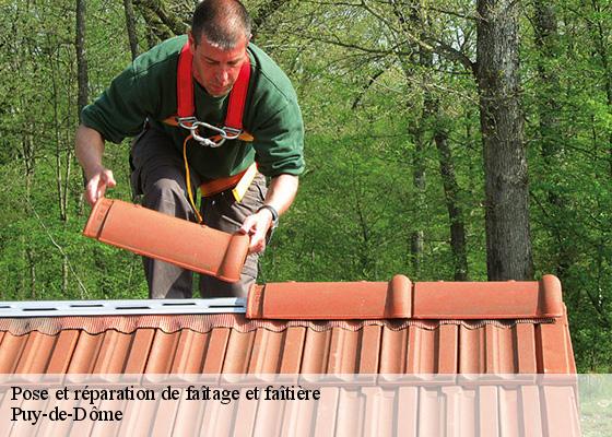 Pose et réparation de faîtage et faîtière 63 Puy-de-Dôme  Dorkeld Couverture