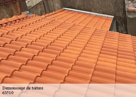 Demoussage de toiture  malintrat-63510 Dorkeld Couverture