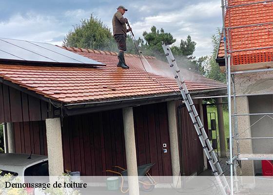Demoussage de toiture  moriat-63340 Dorkeld Couverture