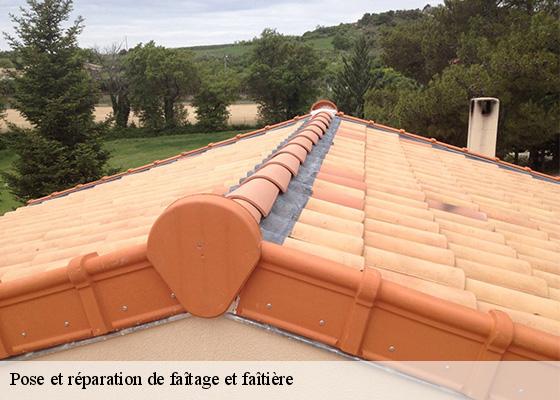 Pose et réparation de faîtage et faîtière  chassagne-63320 Dorkeld Couverture