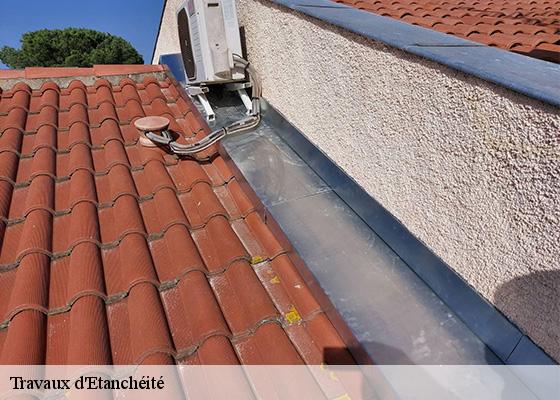 Travaux d'Etanchéité  mauzun-63160 Dorkeld Couverture