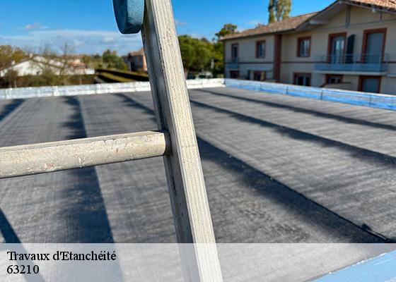 Travaux d'Etanchéité nebouzat-63210 Dorkeld Couverture